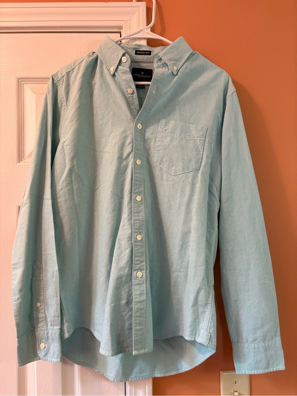 American Eagle Outfitters Men's blue Button-Down Shirt